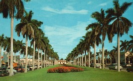 Vintage POSTCARD ROYAL POINCIANA WAY PALM BEACH FLORIDA UNSTAMPED BLANK ... - £1.55 GBP