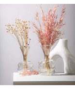 Rainbow vase Glass Set of 2 for home decoration, Blown Glass Vases , gla... - $79.99