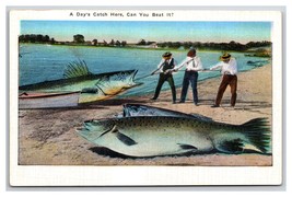 Comic Exaggeration Fishing A Days Catch Here UNP Linen Postcard W22 - $2.92