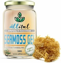 500ml Sea Moss Gel in The UK Wildcrafted in St Lucia Dr Sebi Approved Made - £13.28 GBP