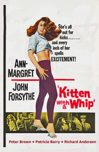 Kitten with a Whip ( Rare 1964 DVD ) * Ann Margret * John Forsythe - £11.79 GBP