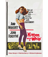 Kitten with a Whip ( Rare 1964 DVD ) * Ann Margret * John Forsythe - $14.99