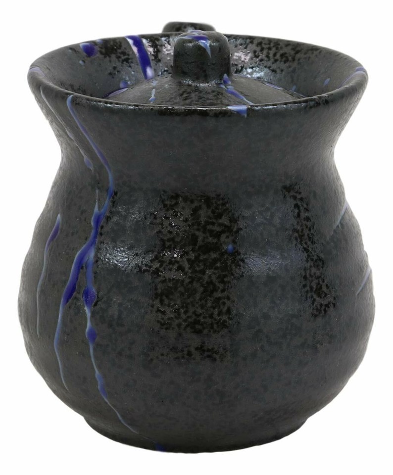 Pack of 2 Speckled Black Blue Japanese Tenmoku Porcelain Soy Sauce Dispensers Item image 4