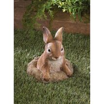 CURIOUS BUNNY GARDEN DÉCOR - €22,30 EUR
