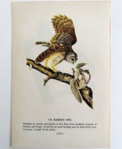 Barred Owl 1950 Lithograph Art Print Audubon Bird First Edition DWU14D - $29.99