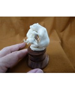 (TB-PANTH-20) Panther Mountain Lion + buffalo shed ANTLER figurine Bali ... - $1,172.72 MXN