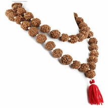 5 Five Mukhi Rudraksha Mala Surya Agni Siddha Mala 108+1 Collector Japa Beads - £31.35 GBP