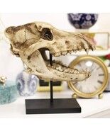 Ebros Direwolf Fossil Skull Statue On Pole Mount and Brass Name Plate 12... - €85,67 EUR Ebros Direwolf Fossil Skull Statue On Pole Mount and Brass Name Plate 12... - €85,67 EUR