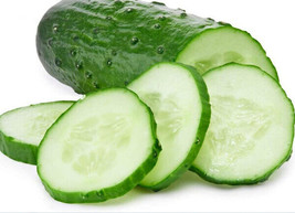 SuGard 25 of Spacemaster Cucumber Seeds Bush Cucumber Bush type Plant Container  - £1.58 GBP
