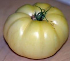 SGHOST Great White Tomato * Mild Flavor * Low Acid * Heirloom * Few Seeds * 20 C - £6.79 GBP