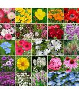 OK 100 Seeds Partial Shade Wildflower Seed Mix | Heirloom &amp; Non-GMO  - £3.95 GBP
