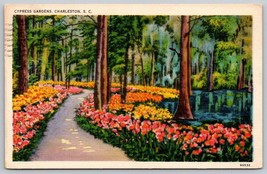 Vintage Cypress Gardens Charleston South Carolina Postcard pathways trees flower - £3.08 GBP