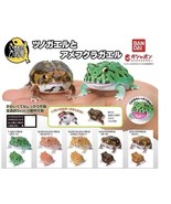 PSL Ikimono Encyclopedia Repti Horned Frog Five-piece Set Toy BANDAI New - £29.59 GBP