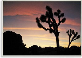 Stupell Industries Desert Tree Sunset Silhouette Photograph Wall Plaque, 13 X - £34.36 GBP