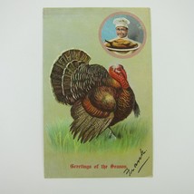 Thanksgiving Postcard Wild Turkey in Grass &amp; Chef Cooked Turkey Embossed Antique - £7.82 GBP