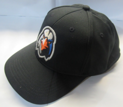 Minor League Baseball Raised Replica Hat Aberdeen Ironbirds Style MIN 350 Adult - £15.71 GBP