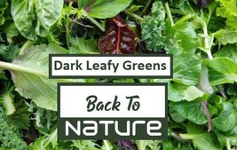 New Fresh Dark Leafy Greens Microgreen Seed Blend Organic Microgreen See... - $4.78