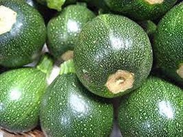 Zucchini Seeds, Round Squash, Heirloom, 200+ Seeds, Non GMO, Healthy Vegetable - £4.69 GBP