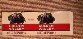 Golden Valley Deluxe Plumes Label - Minnesota UNCIRCULATED  - €5,64 EUR