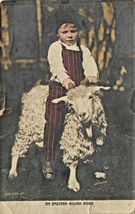 Eastern Rough Rider~Cute Young Boy Riding Wooly SHEEP~1908 Photo Postcard - £5.98 GBP