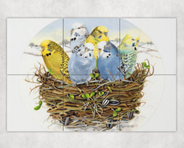 Budgerigars In A Nest exotic birds outdoor garden ceramic tile mural bac... - $59.39+