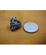 (x262-460) 17 g Campo del Cielo iron meteorite 1576 Argentina fragment s... - $52.41 CAD