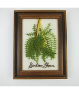 Vintage Crewel Embroidery Boston Fern Green &amp; Brown Dark Wood Frame 9x7 - £23.97 GBP