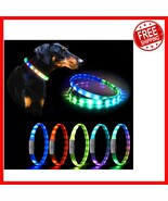 All-Weather LED Dog Collar - USB-C Rechargeable, Nighttime Safety Essential - $42.18 CAD