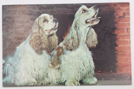 Vintage Nycechrome 2 Spaniel Dogs Greetings from Monroeton, PA Postcard - $8.59