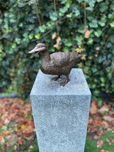 Standing Duck – Bronze Sculpture. 20x10x28cm - 1.7Kg - $260.05 CAD