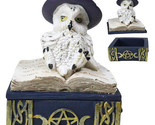 White Snow Owl With Witch Hat Resting On Triple Moon Blue Spell Book Tri... - £13.50 GBP