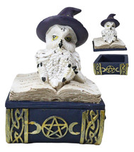 White Snow Owl With Witch Hat Resting On Triple Moon Blue Spell Book Trinket Box - £13.57 GBP