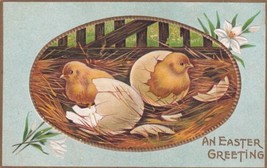 Easter Greeting Chicks Cracked Eggs Bed of Straw Postcard D38 - £2.38 GBP
