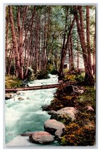 Ashland Creek Canyon Ashland Oregon OR DB Postcard O17 - $3.91