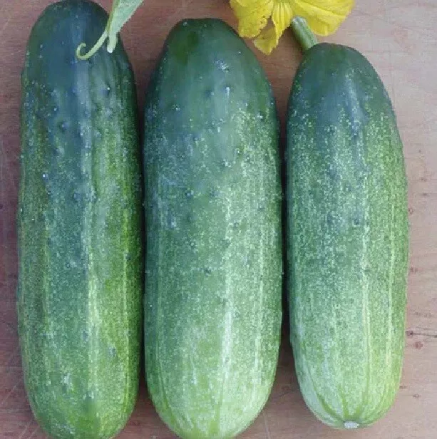 25 Seeds Mcpick Cucumbers Planting - $9.65