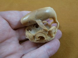 (tb-whal-25) baby Sperm Whale Tagua NUT palm figurine Bali carving whale... - £42.96 GBP