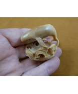 (tb-whal-25) baby Sperm Whale Tagua NUT palm figurine Bali carving whale... - $74.79 CAD