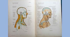 1935 antique GEORGE MEADE EASBY art book signed anatomical Diagram skeleton nude - £97.27 GBP