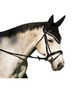 Equine Horse Fly Veil with Noise Reducing Ears - Black, Hunter Green, Ro... - £15.95 GBP
