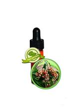 Clove Leaf Essential Oil - Syzygium aromaticum - 1 DRAM (1/8oz) - £10.01 GBP