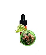 Clove Leaf Essential Oil - Syzygium aromaticum - 1 DRAM (1/8oz) - $12.73