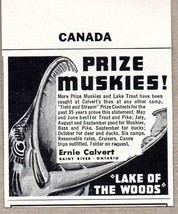 1950 Print Ad Prize Muskies Lake of Woods Ernie Calvert Rainy River Ont Canada - £7.43 GBP