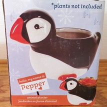 Puffin Planter, Ceramic Bird Animal Plant Pot, 4" Succulent Planter image 3