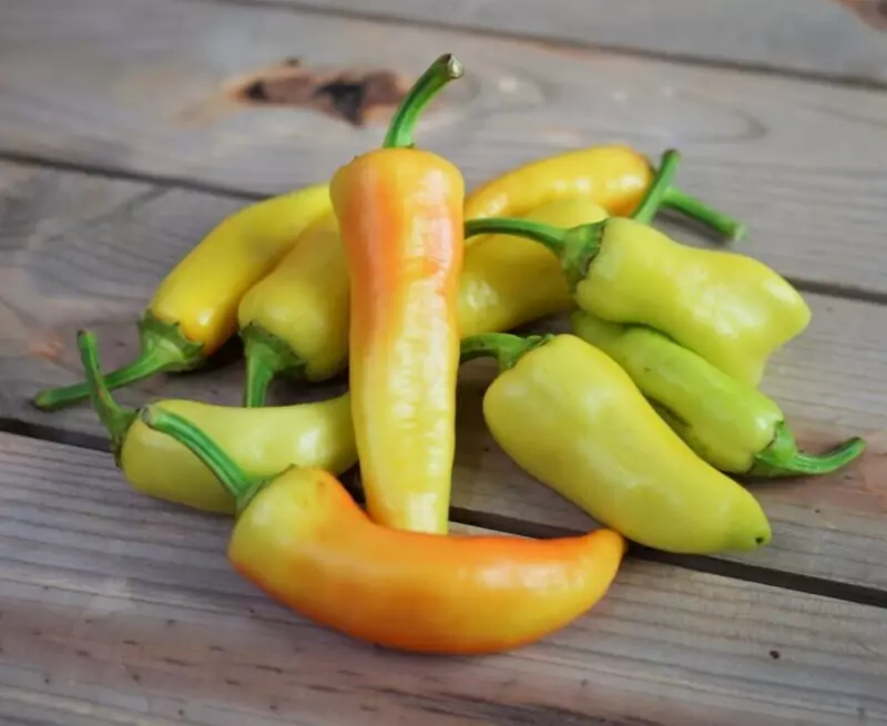 25 Seeds Sweet Banana Pepper Heirloom Seeds Fast Flourish Magic - $10.40