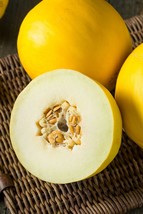 Mango Melon Heirloom NON-GMO ancient super-fruit 10+ Peach vine seeds - £2.67 GBP