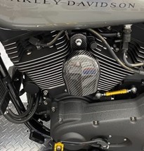 Carbon Fiber Classic Horn Cover and Bracket for Harley Touring Models - $325.71