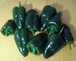 Ancho Poblano Pepper Seeds 30 Chili Poblano Mild Spice Vegetable Fast Sh... - $8.99