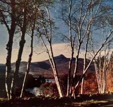 1960 Postcard Chocurua Lake And Mountain New Hampshire Landscape Vintage... - $19.99