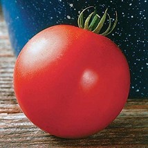 PM Mountain Fresh Plus Hybrid Tomato Seeds (25 Seed Package) - $4.75