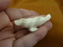 SEAL-w8) little white swimming Seal shed ANTLER figurine Bali detailed c... - $46.98